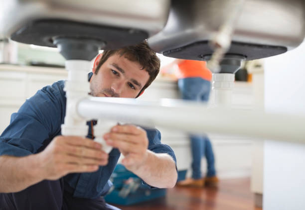 Best Sprinkler Systems  in Coyne Center, IL