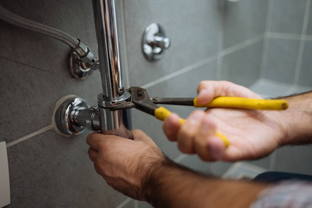 Best Plumbing Services Near Me  in Coyne Center, IL